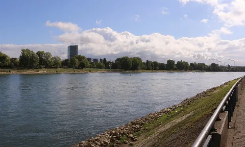 Apartmentreinigung in Ludwigshafen am Rhein
